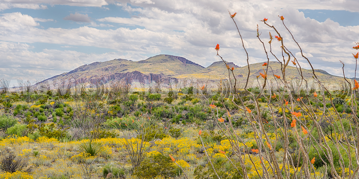 Montego Minerals Targets $50M With Fifth Royalty Fund