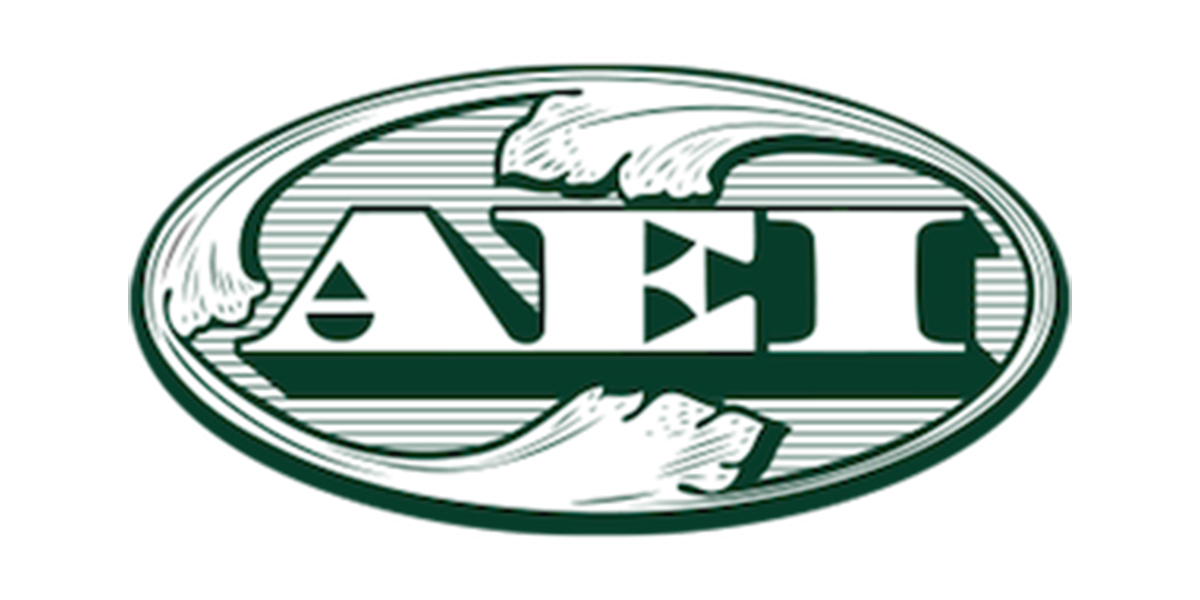 Directory Spotlight: AEI Capital Corporation